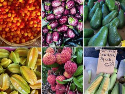 Fresh Fruit & Veggies